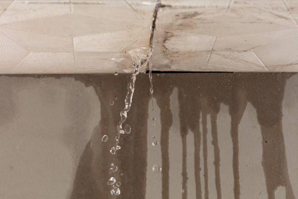 Professional Sewage Cleanup technician working in Orwell, OH